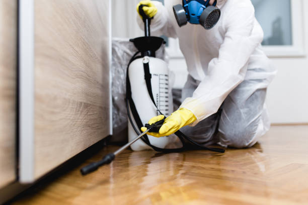 Best Exterminator Services  in Rio Vista, CA