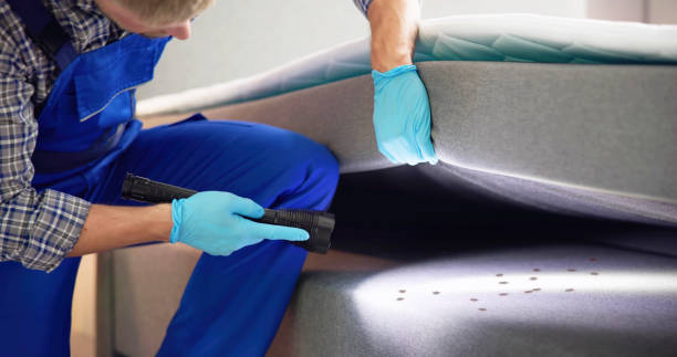 Best Pest Inspection Near Me  in Rio Vista, CA