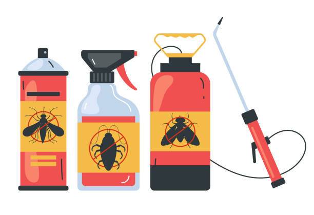Best Spider Control Near Me  in Rio Vista, CA