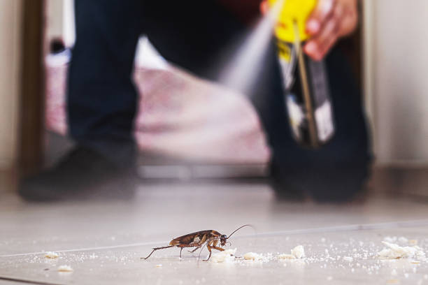 Best Pest Removal Services  in Rio Vista, CA